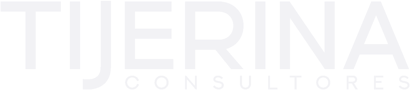 Tijerina Consultores