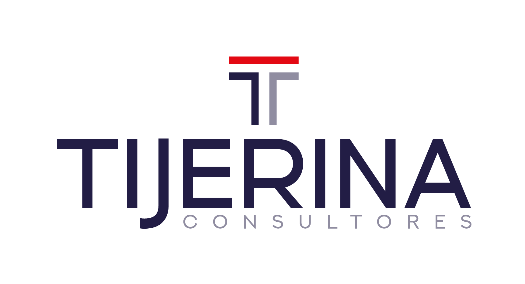 Tijerina Consultores